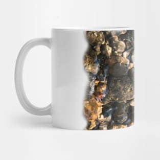 Doulting Pebbles Mug